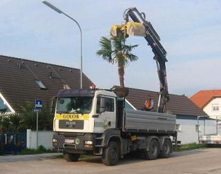 Bild zu Neuer LKW mit Kran fr GOLOB